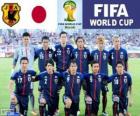 Επιλογή της Ιαπωνίας, ομάδα Γ, Βραζιλία 2014